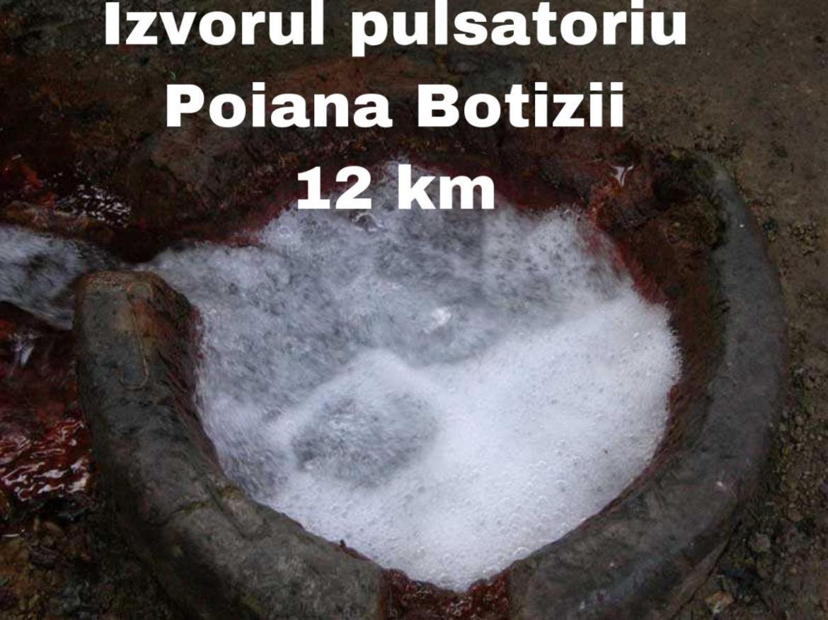 La Curtea Veche Apartman Oláhlápos Kültér fotó
